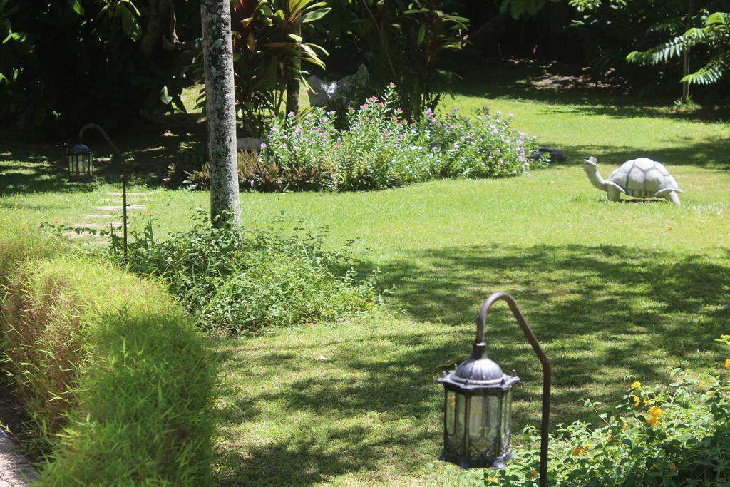 Villa Kordia Pointe Au Sel Zewnętrze zdjęcie